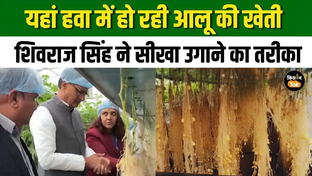 शिवराज सिंह ने देखा आलू की Aeroponics खेती का मॉडल, जानें क्या सीखा?