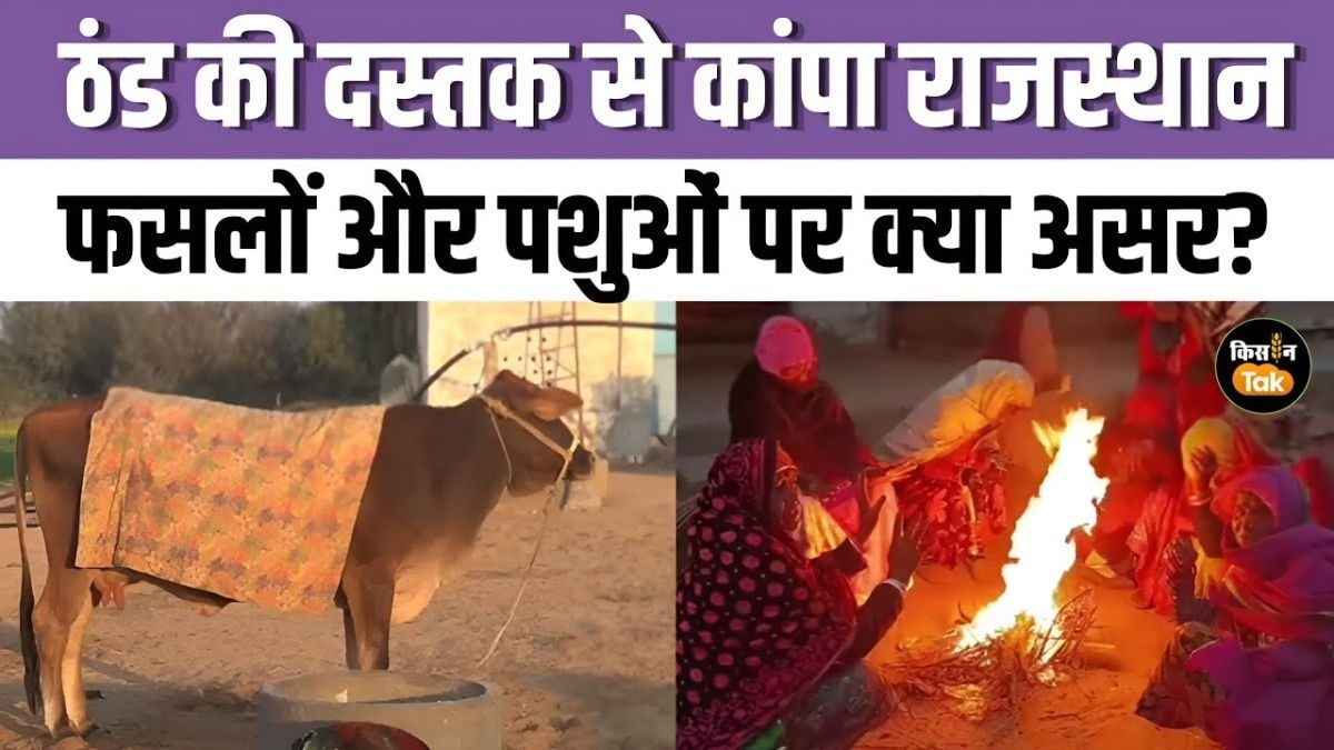 ठंड शुरू होते ही अलाव के सहारे लोग, जानिए फसलों को नुकसान या फायदा?