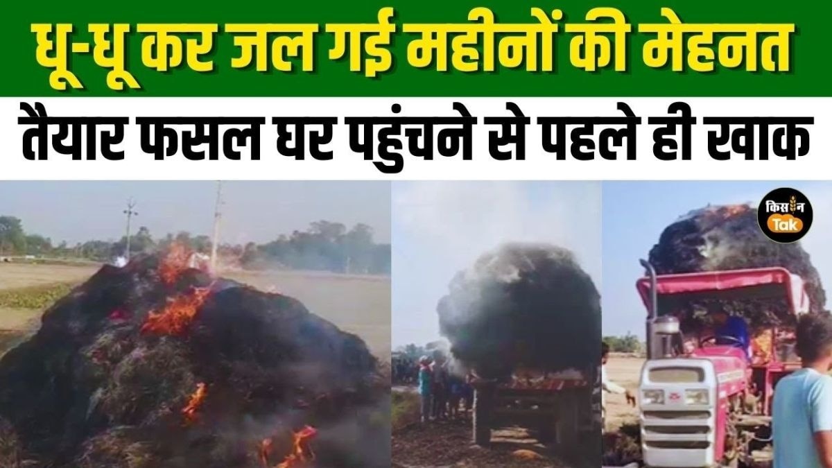 ट्रैक्टर की टाली में आग लगने से पूरी फसल जलकर खाक, महीनों की मेहनत बर्बाद