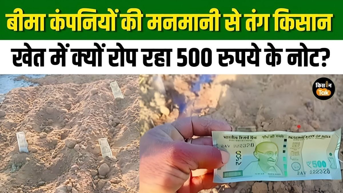 बीमा कंपनियों की मनमानी से किसान परेशान, खेत में बोए 500 के नोट