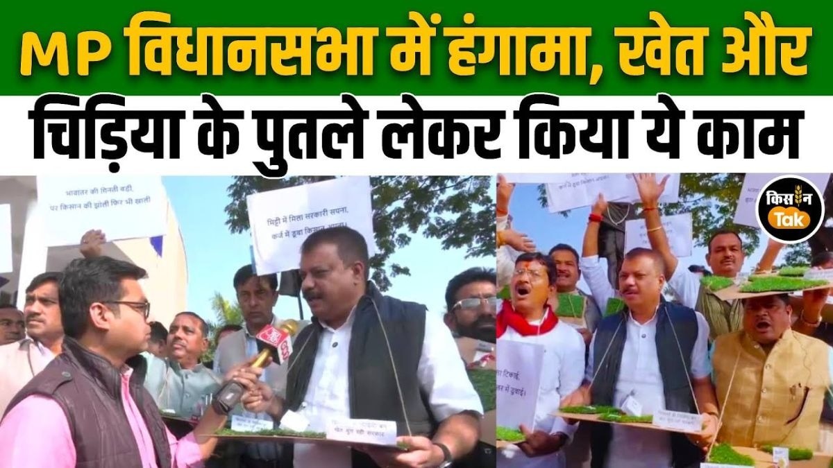 MP विधानसभा में किसानों के मुद्दे पर कांग्रेस ने किया जोरदार प्रदर्शन, देखें वीडियो
