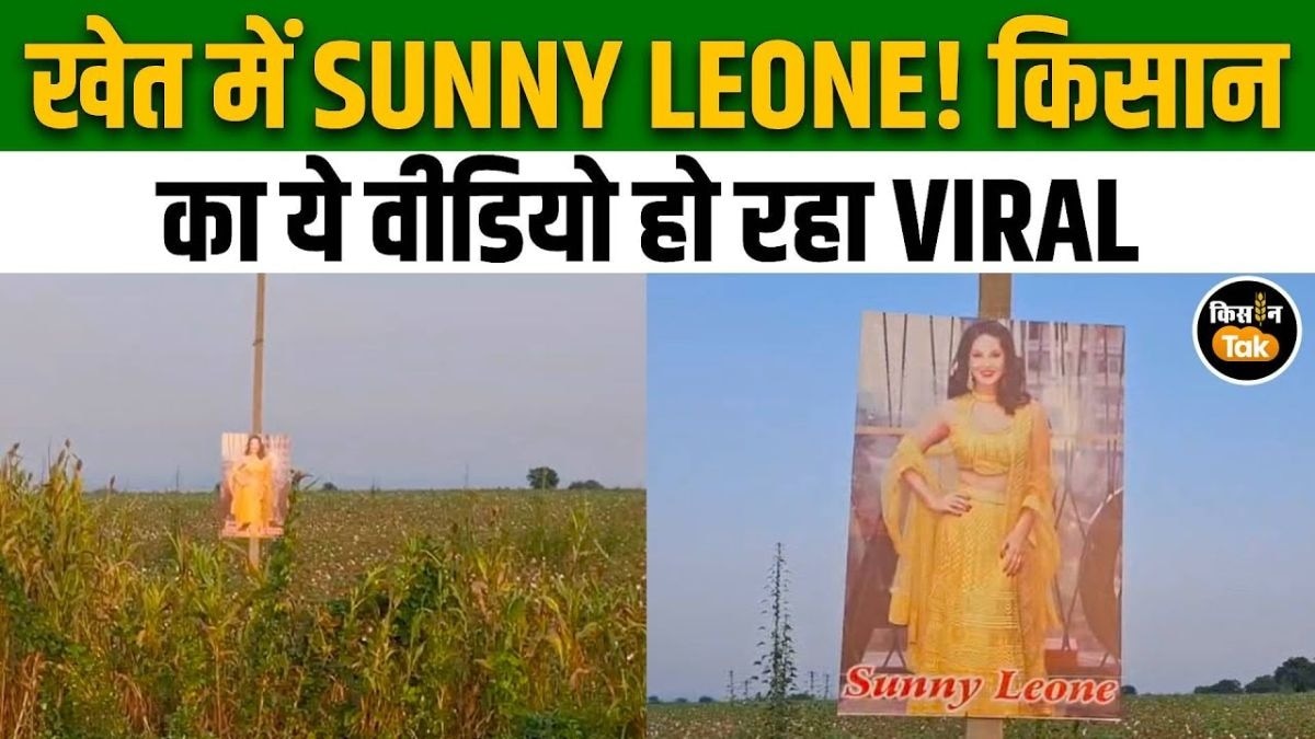 सनी लियोनी की तस्वीर