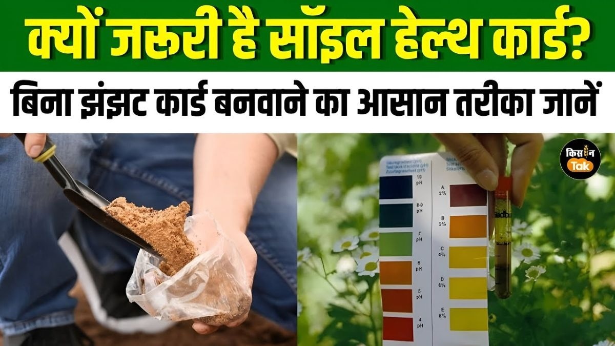 स्वाइल हेल्थ कार्ड के कितने फायदे? इससे जुड़ी सारी डिटेल जानिए आसान भाषा में