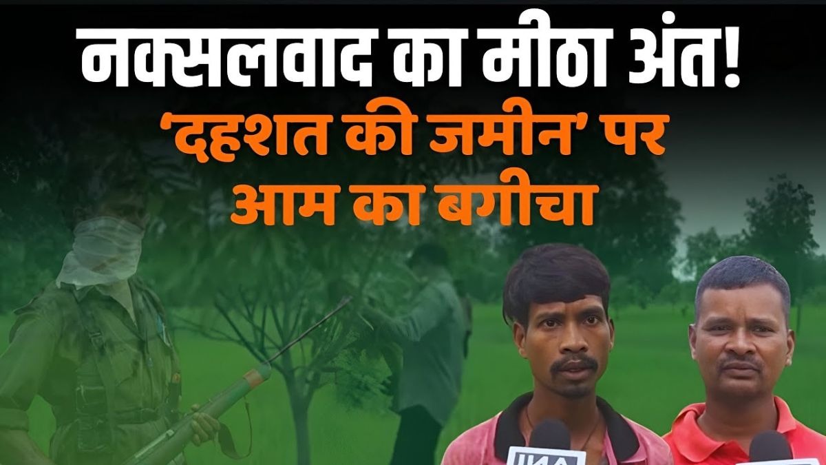 सरकारी योजनाओं की मदद से नक्सलियों के गढ़ में बना आम का बगीचा, देखें वीडियो