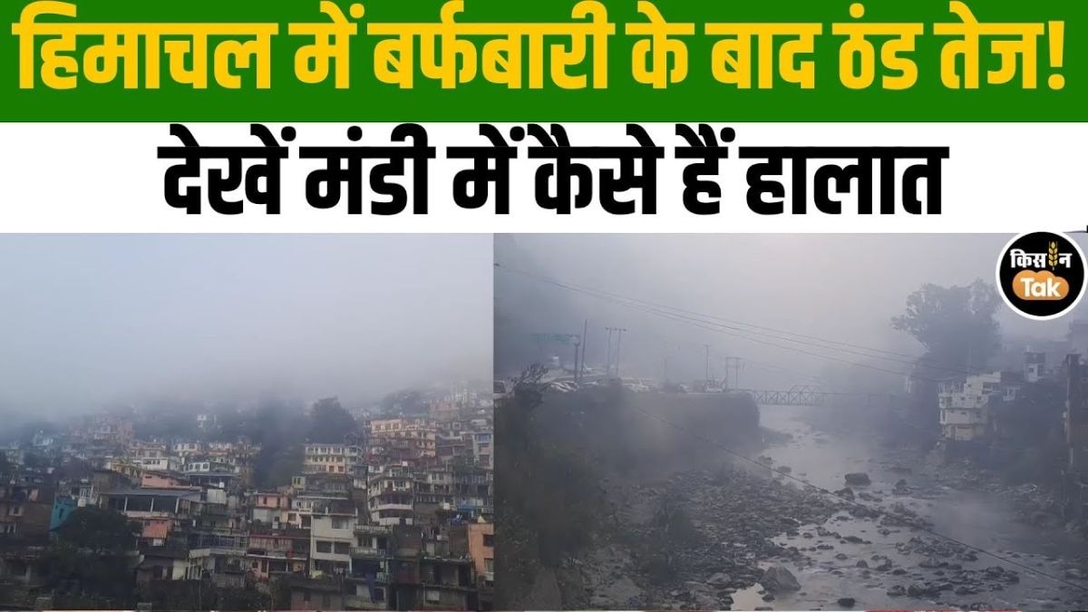 हिमाचल प्रदेश में कड़ाके की ठंड, कोहरे और धुंध ने बढ़ाई लोगों की मुश्किलें!
