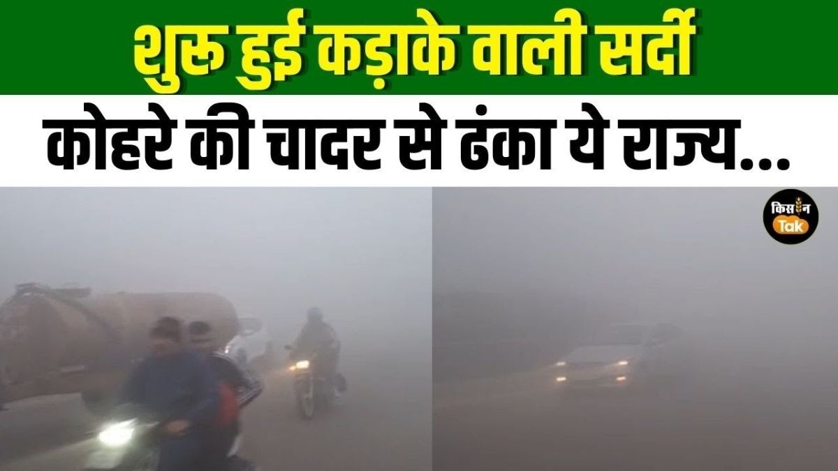 सर्दी में पहली बार छाया घना कोहरा, जानिए फसलों के लिए कैसा रहेगा मौसम?