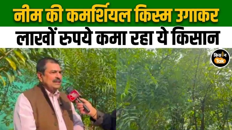 Success Story: परंपरागत खेती छोड़ नीम से लाखों रुपये कमा रहा किसान