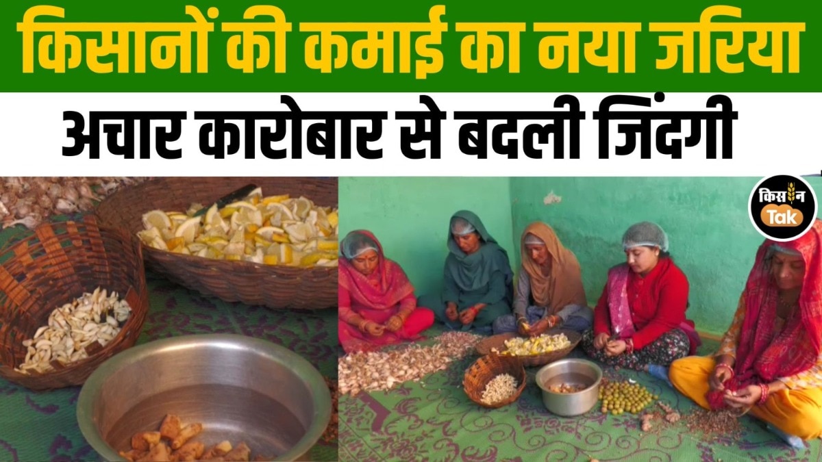 जम्मू-कश्मीर के इन किसानों ने निकाला नया फॉर्मूला, ऐसे कर रहे कमाई!