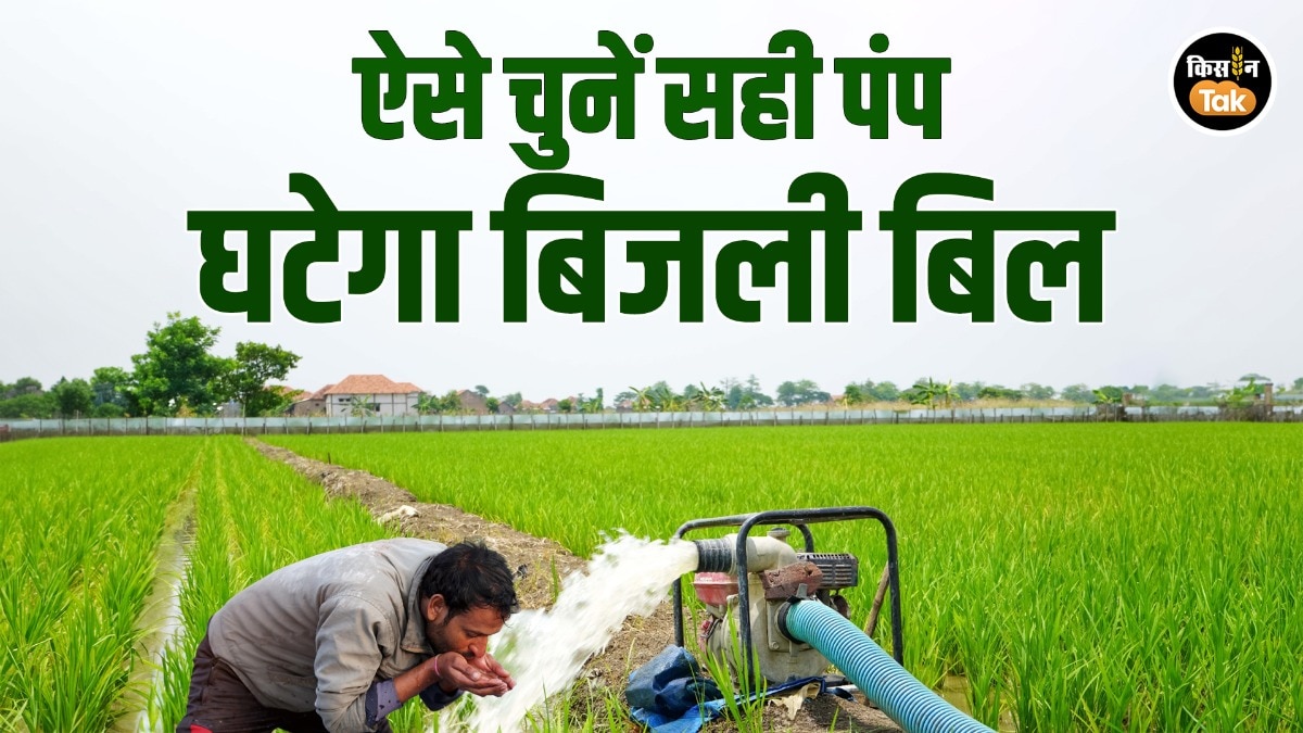 आपके खेत में कितने HP का होना चाहिए वाटर पम्प? जानें सटीक फार्मूला