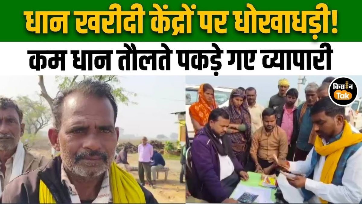 UP के गांव में बिना लाइसेंस धान खरीद, लाखों की ठगी का हुआ खुलासा