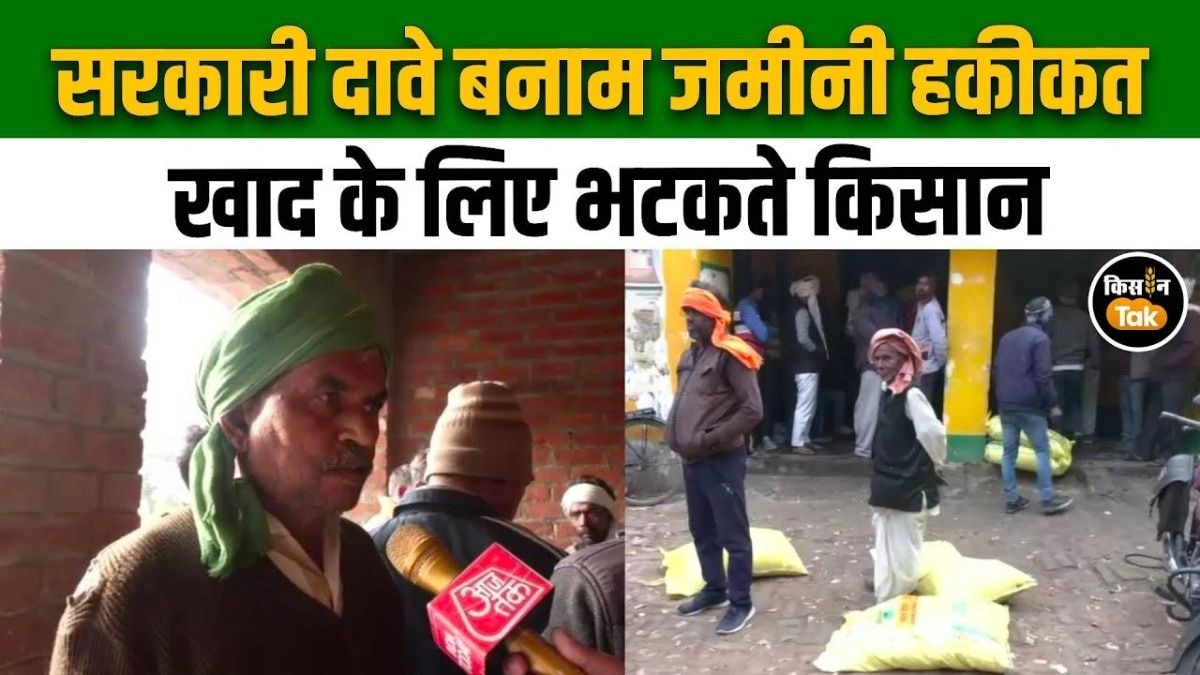 खाद को लेकर हाहाकार