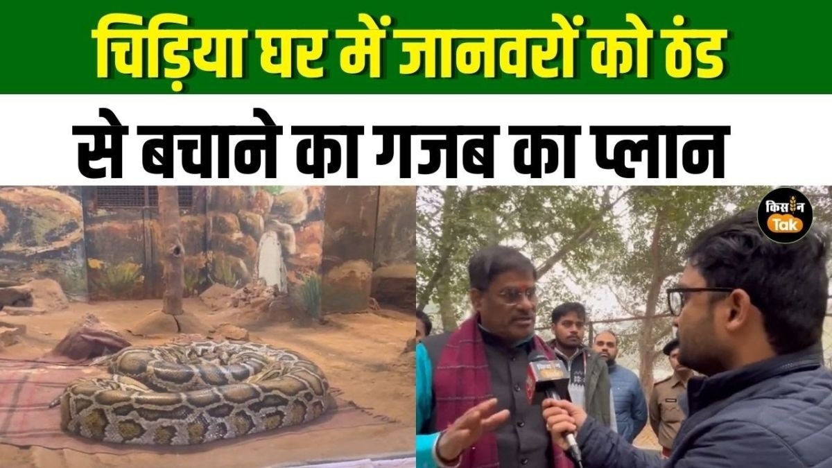 चिड़ियाघर के जानवरों को ठंड से बचाने का मंत्री ने बताया प्लान, देखें वीडियो