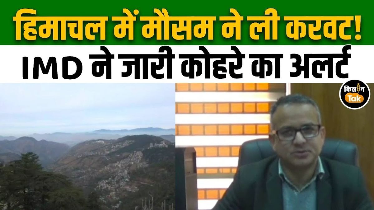 शीतलहर का येलो अलर्ट