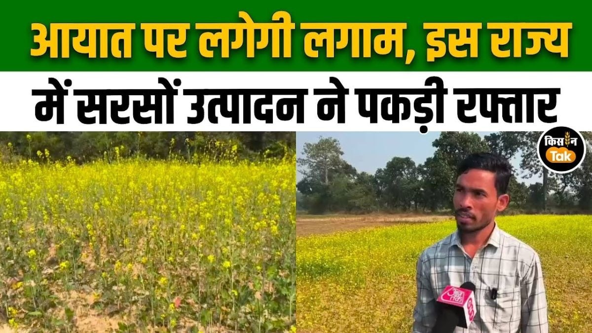 सरसों की खेती