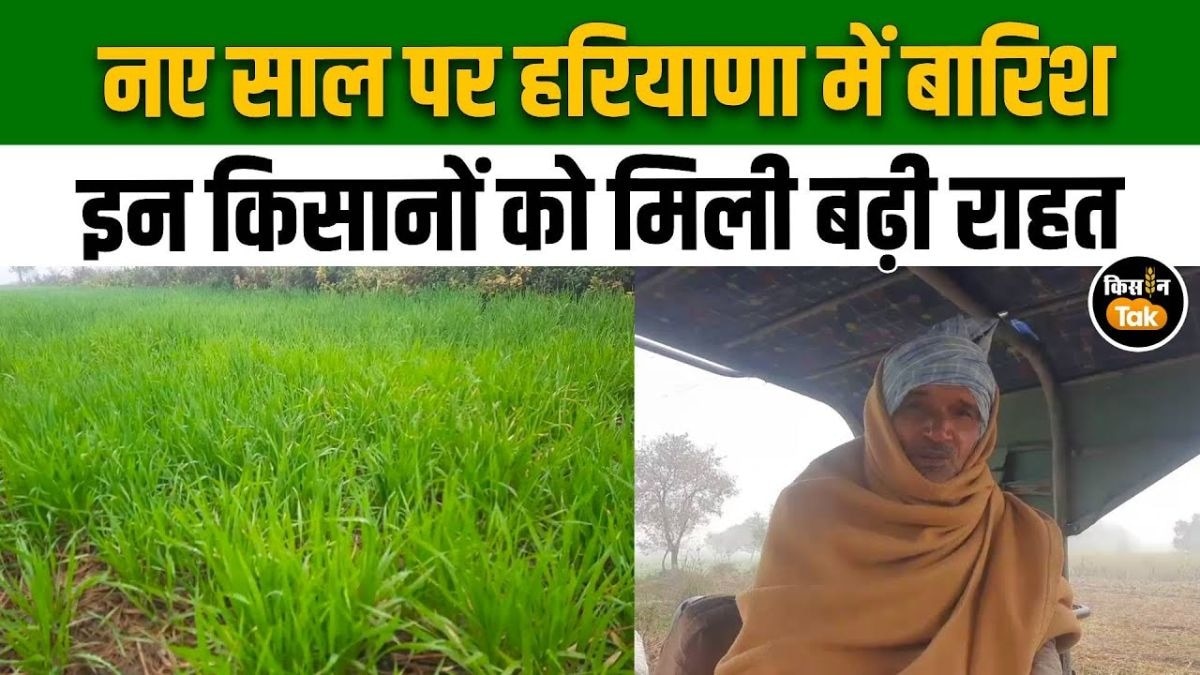 रोहतक में मौसम ने ली करवट