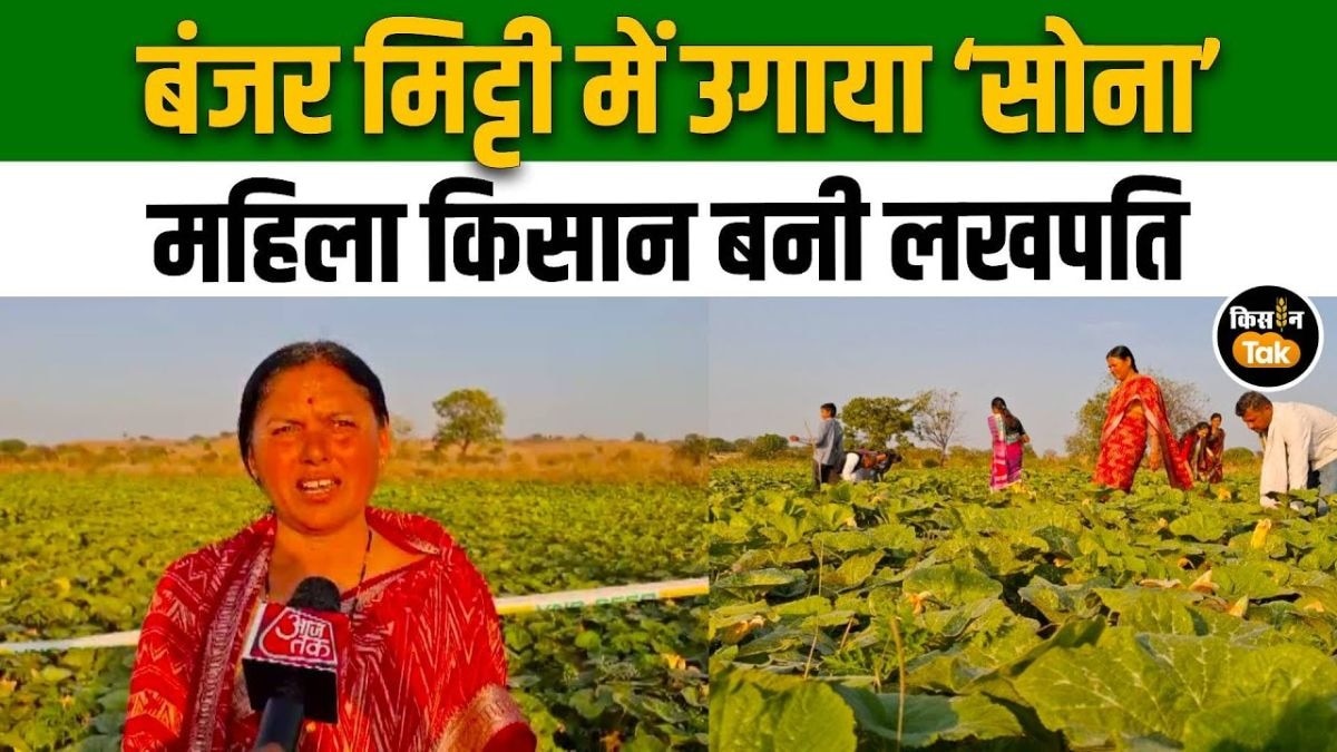 जैविक खेती से बीड की महिला किसान ने 45 टन कद्दू उगाकर दिखाया कमाल