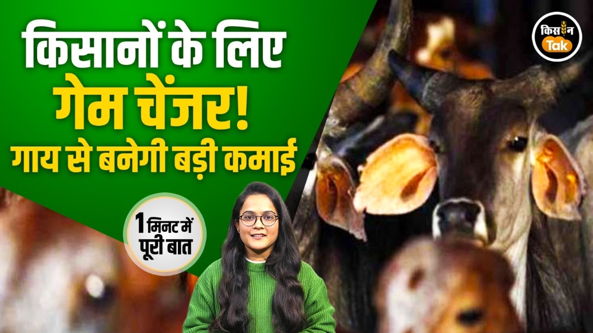 गाय से बनेगी ग्रामीण अर्थव्यवस्था की नई ताकत, जानें क्या है योगी सरकार की योजना