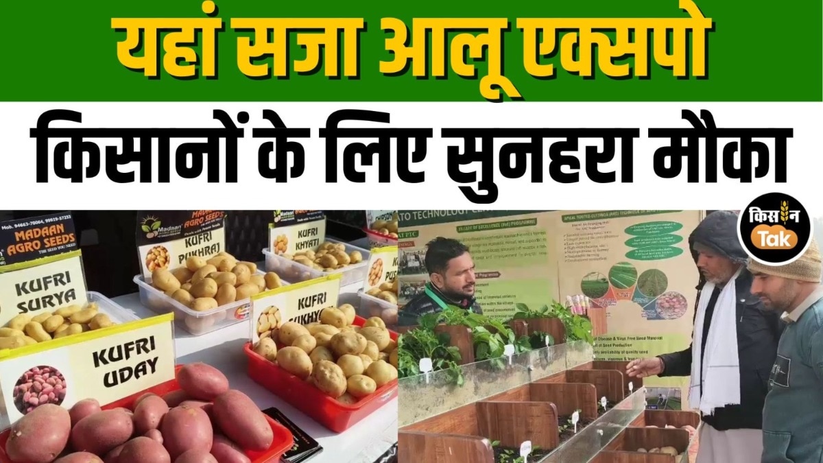Karnal News: किसानों के लिए लगा आलू Expo, प्रदर्शनी में दिखीं ये बेस्ट किस्में