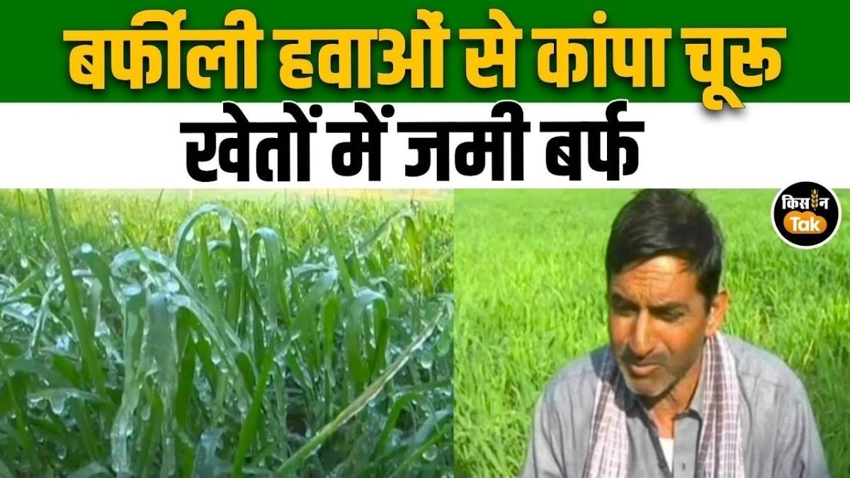 आग का गोला कहलाने वाला चूरू बना बर्फ का गोला, पाले से फसलों पर संकट