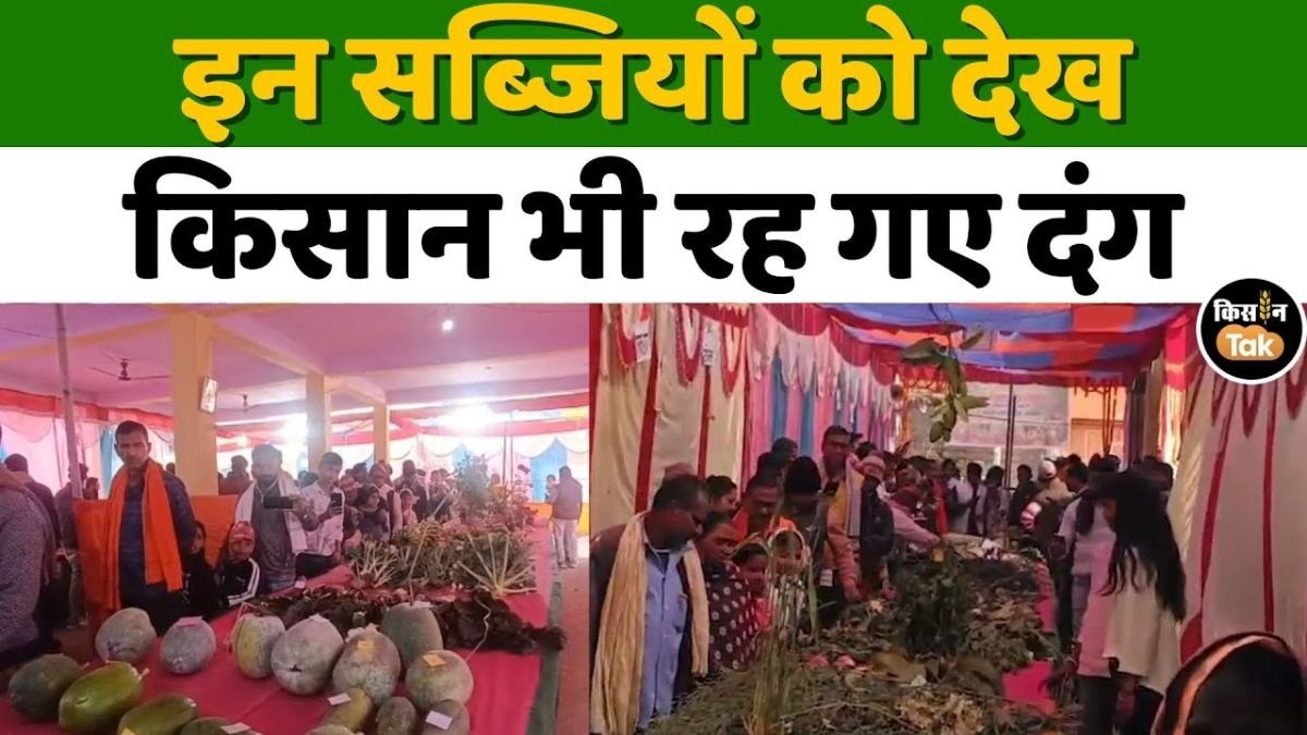 सासाराम में विराट किसान मेला, अद्भुत सब्जियों का अनोखा नज़ारा
