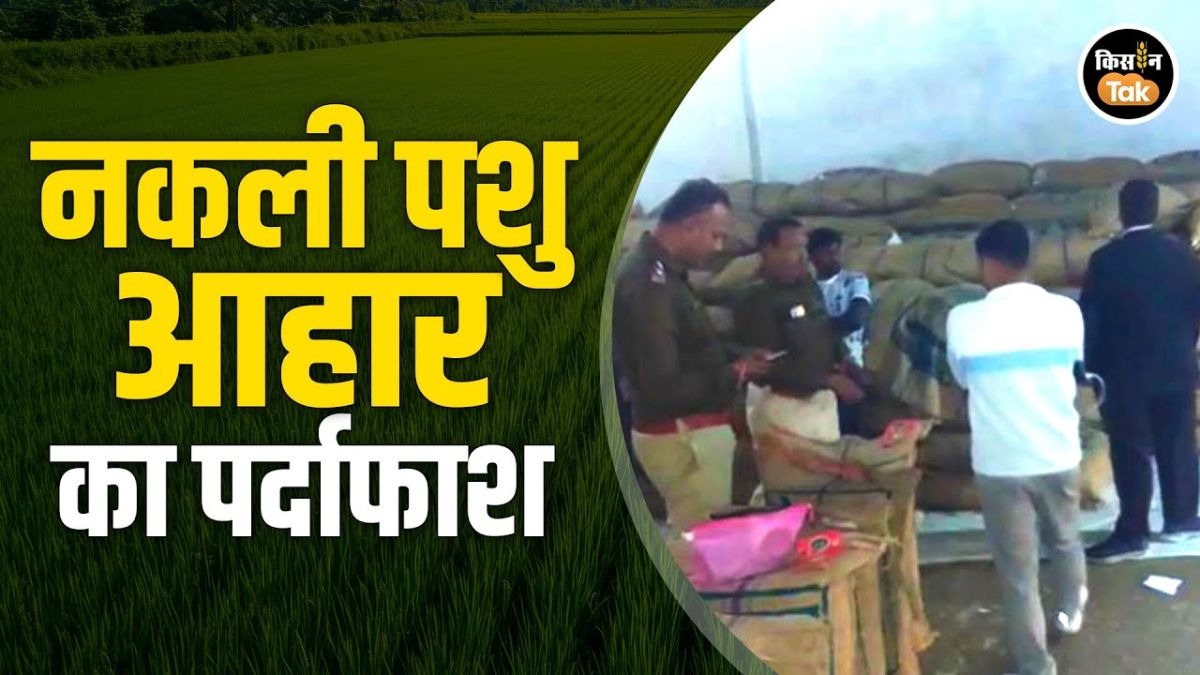 नकली पशु आहार का खेल बेनकाब, MP में पुलिस ने एक ट्रक जब्त किया Feed