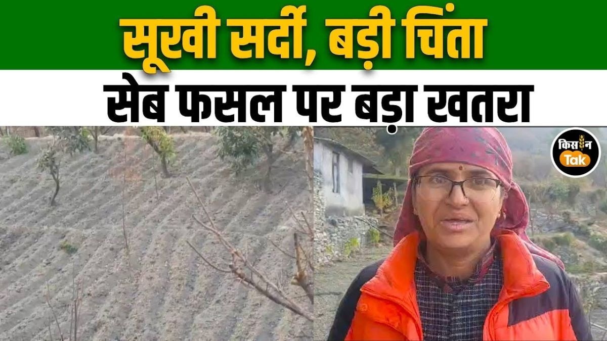 हिमाचल में सूखी सर्दियों का कहर, सेब और गुठलीदार फलों की खेती पर गहरा बड़ा संकट