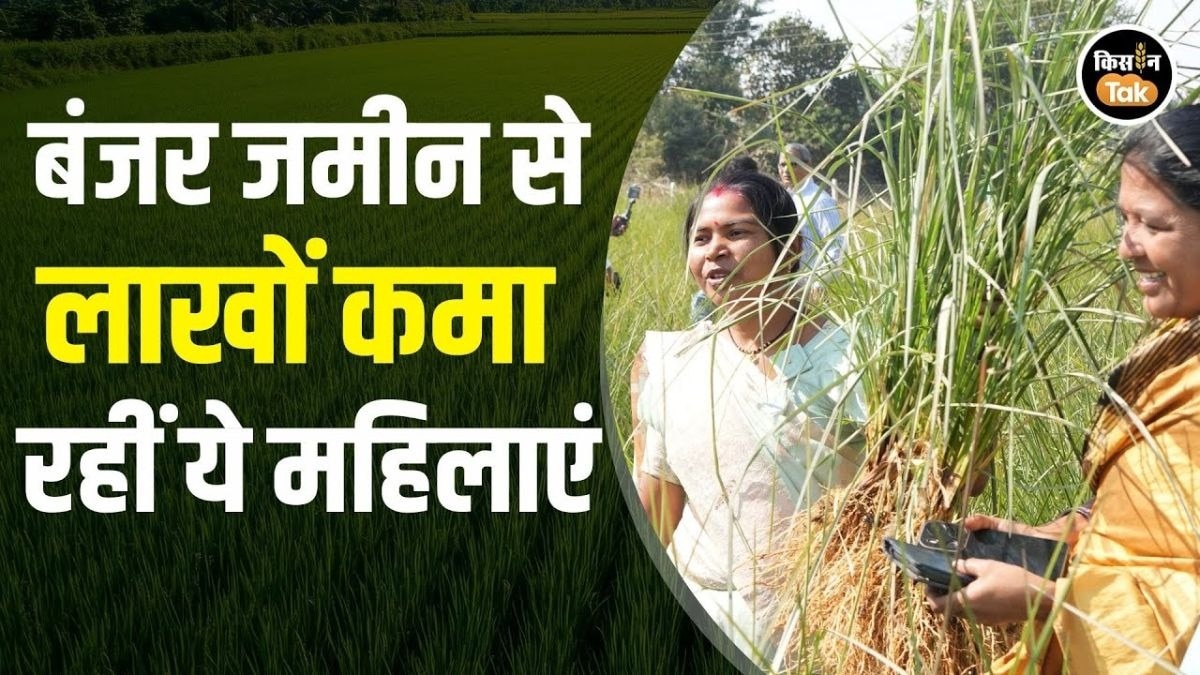 छत्तीसगढ़ में कमाल की पहल, औषधीय बोर्ड की मदद से महिलाएं बन रहीं लखपति