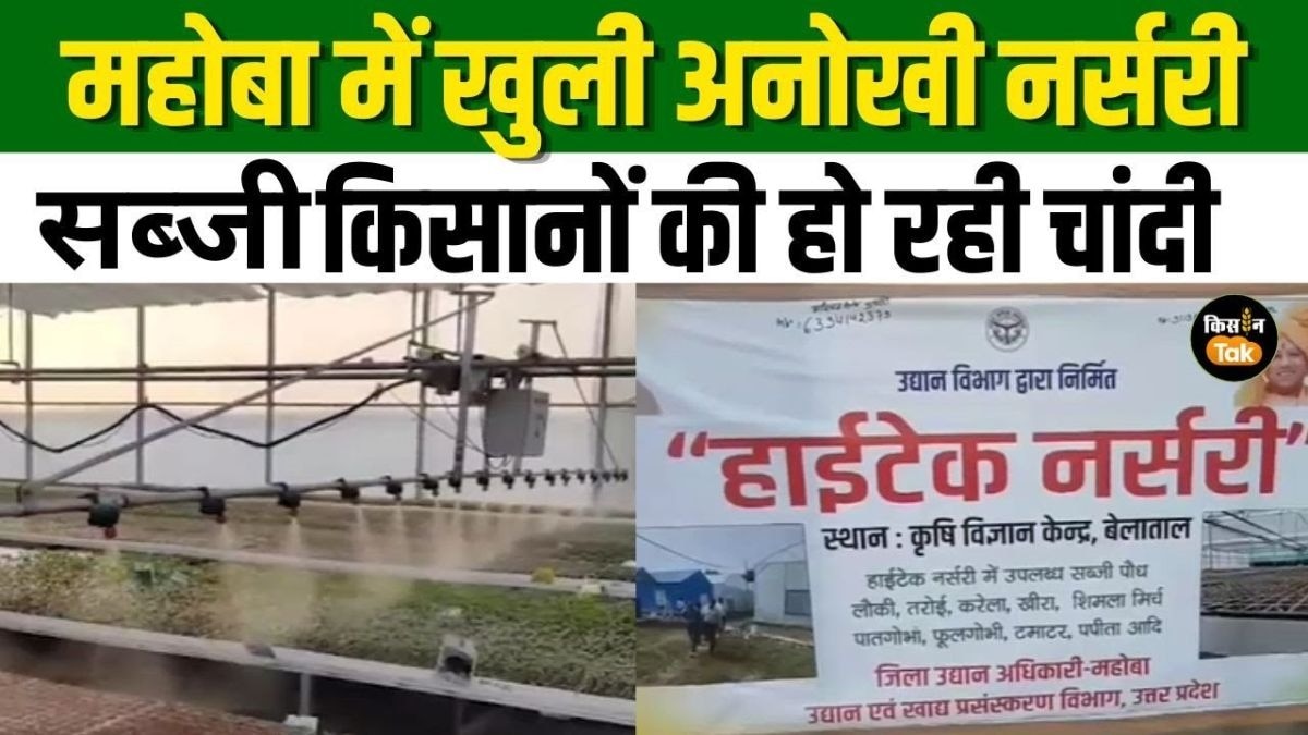 महोबा में खुली हाईटेक नर्सरी, किसानों को हो रहा तगड़ा फायदा