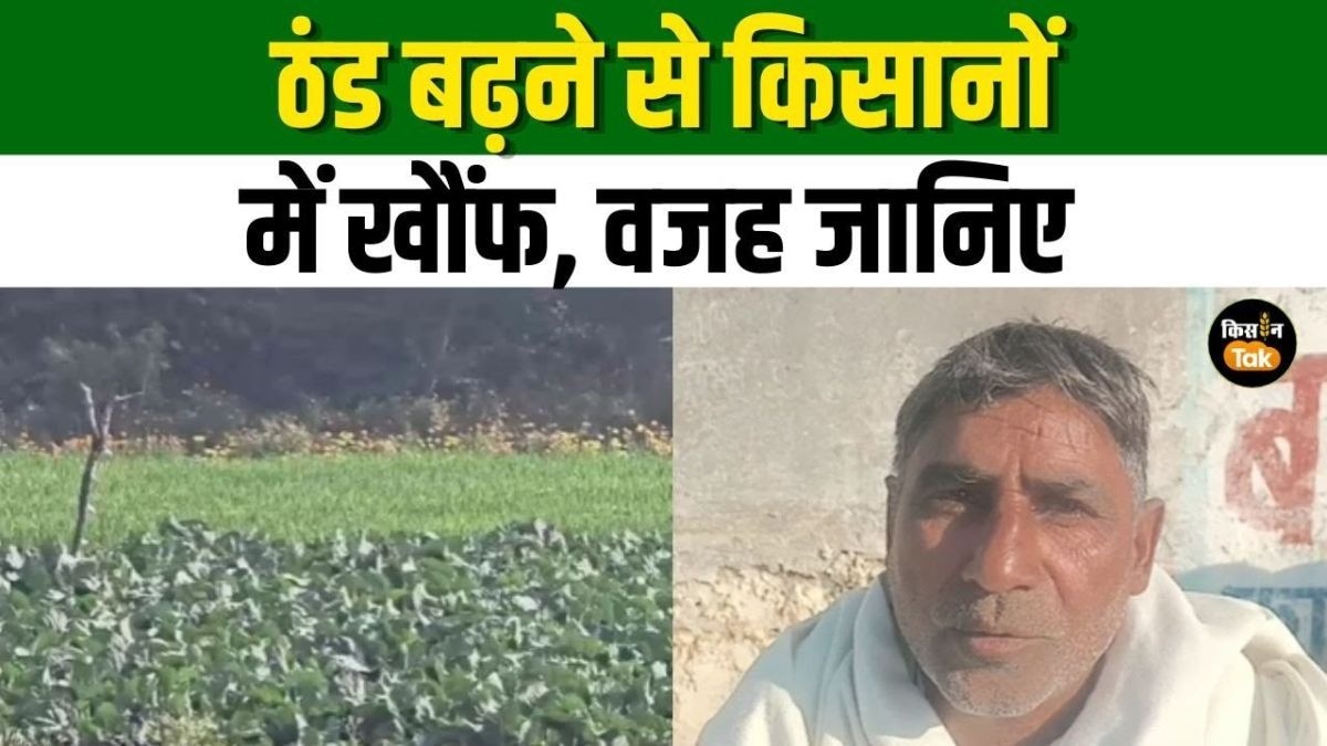 किसानों को सता रहा नुकसान का डर