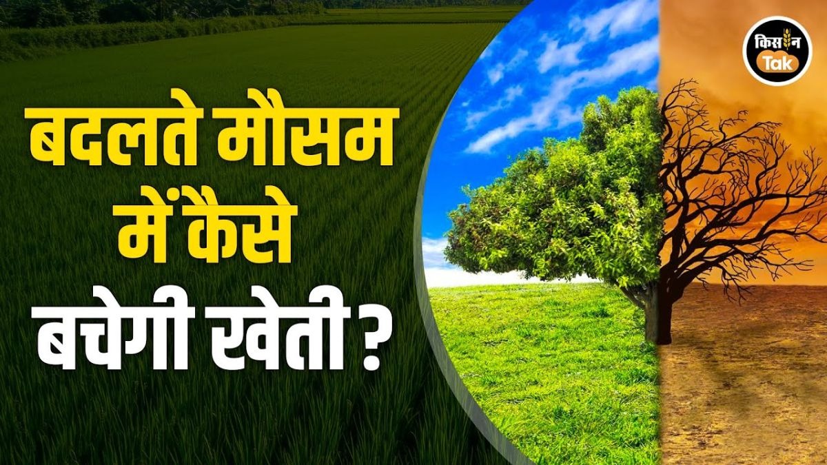 पटना में बड़ा कृषि सम्मेलन, पर्यावरण और टिकाऊ खेती पर मंथन