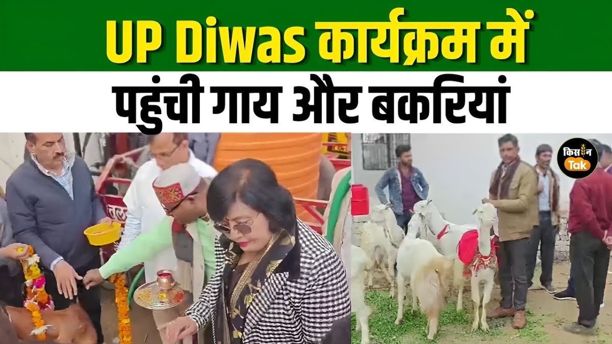 UP दिवस कार्यक्रम में पहुंचीं जमुनापारी बकरियां, साहिवाल गाय की भी लगी प्रदर्शनी
