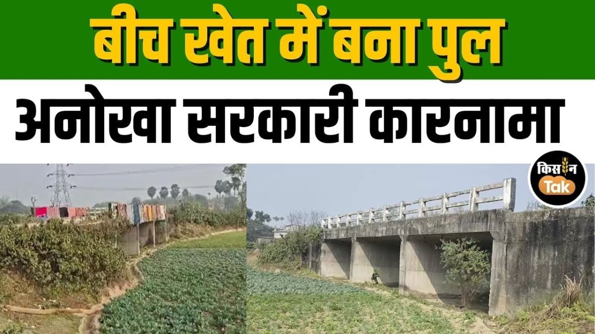 सरकारी सिस्टम ने नदी से दूर बीच खेत में बना डाला पुल, ग्रामीण के बीच आक्रोश