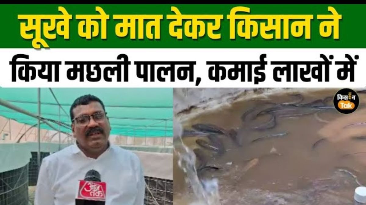 सूखे में मत्स्य संपदा योजना का लाभ उठाकर किसान नें शुरु किया मछली पालन, लाखों में कमाई