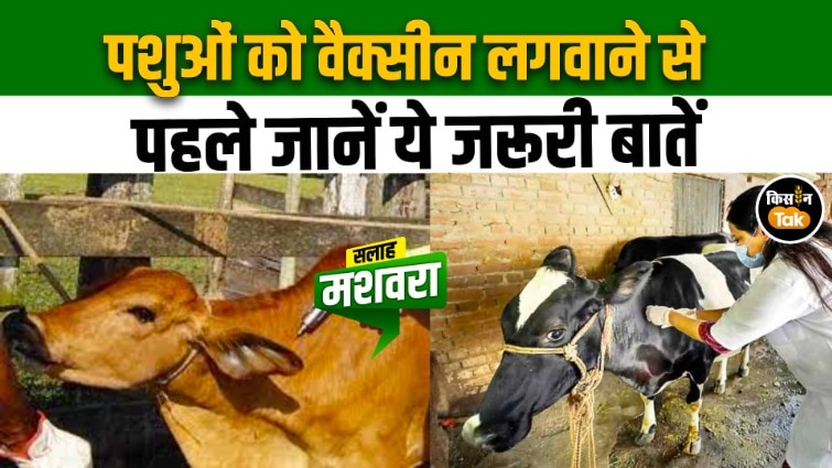 बीमारी से बचाव से लेकर बेहतर दाम तक, जानें वैक्सीनेशन के फायदे और जरूरी टिप्स