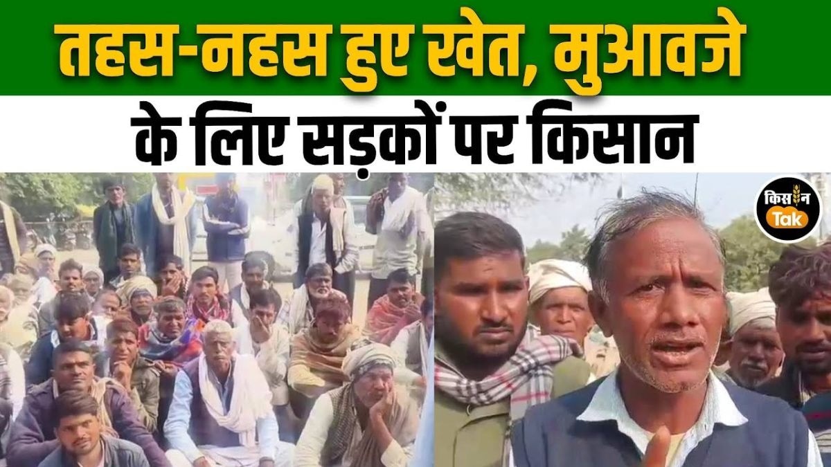 फसल बर्बादी से बेहाल किसान, मुआवजे के लिए सड़क पर उतरे