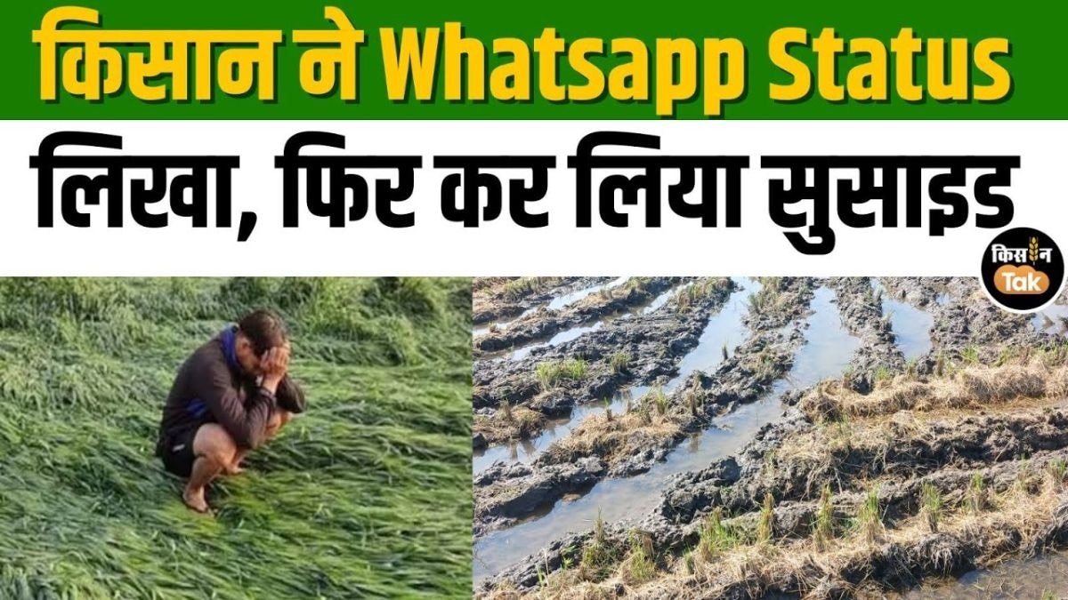 बारिश और ओलों ने छीनी किसान की जान, प्रशासन से राहत की अपील