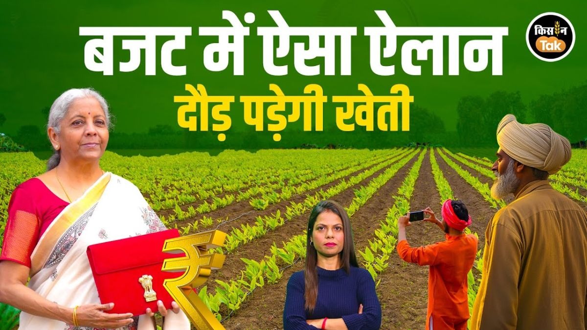 Budget 2026 में हो सकता है खेती की दुनिया बदलने वाला ऐलान, Economic Survey से मिला हिंट