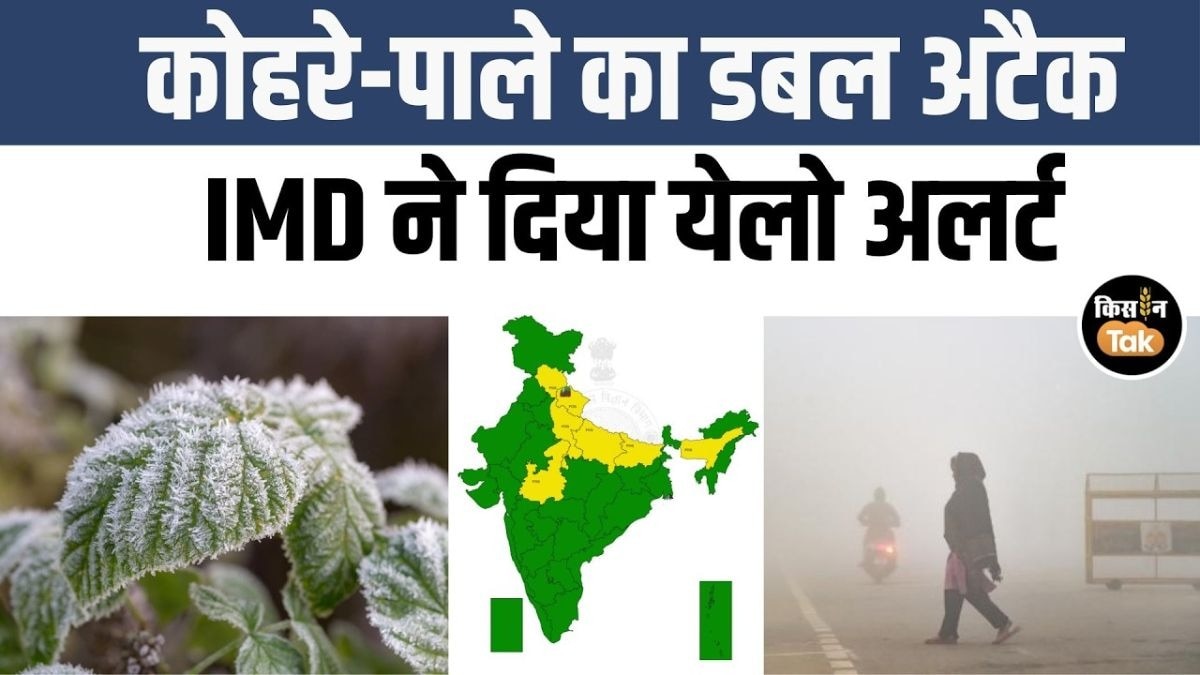 जानें 5 फरवरी को देश भर में कैसा रहेगा मौसम का हाल, देखें IMD का अपडेट