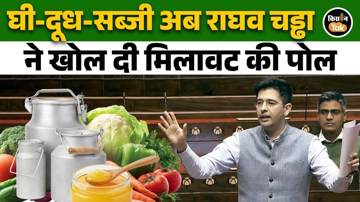 खाने में मिलावट पर राघव चड्ढा का बड़ा खुलासा, राज्यसभा में बताया सेहत से कैसे हो रहा खिलवाड़
