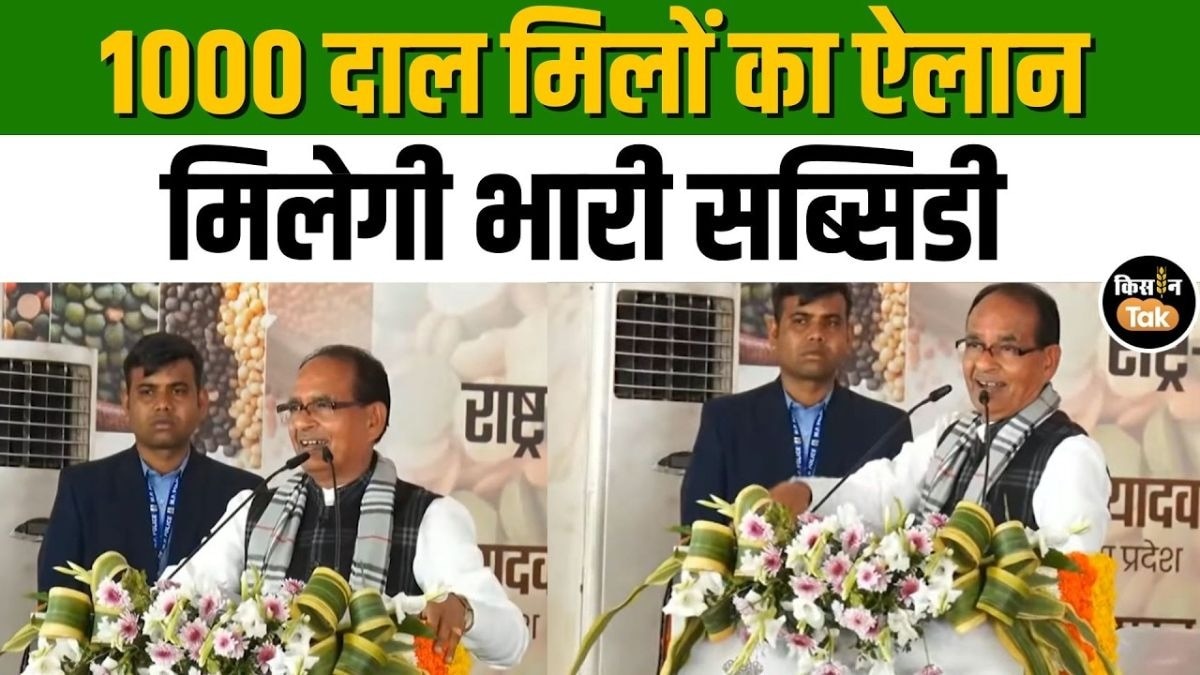 शिवराज सिंह चौहान का बड़ा ऐलान, दाल मिल लगाने के लिए मिलेगी इतने लाख की सब्सिडी!