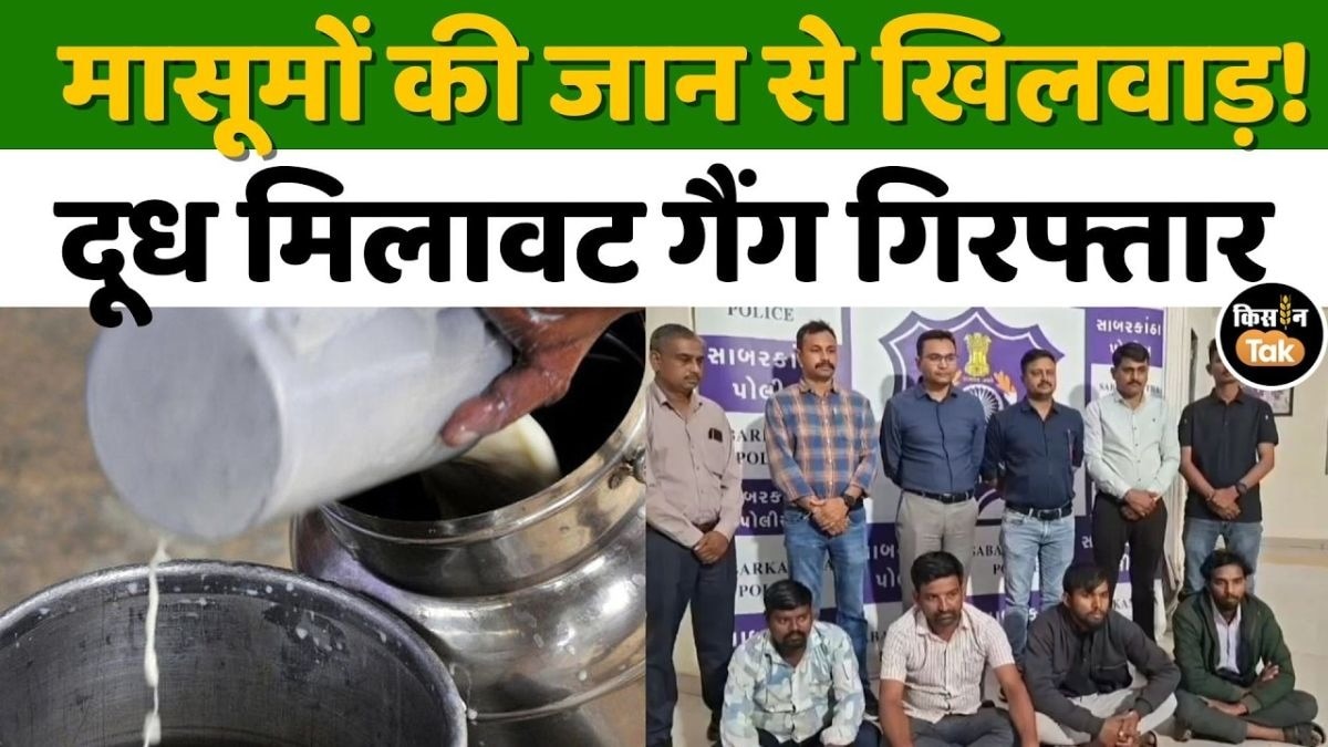 गुजरात के सलाल में फैक्ट्री पर पुलिस का छापा, 71 लाख का जहरीला दूध जब्त