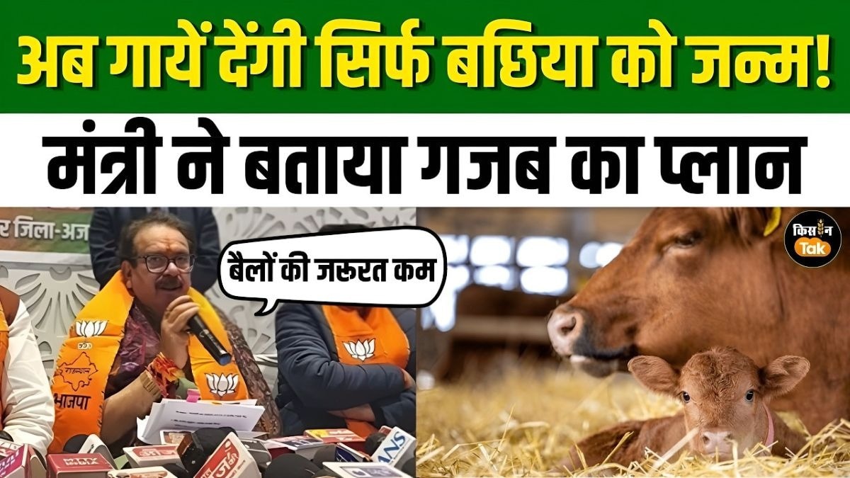 खत्म हुई बैलों की जरूरत, केंद्रीय राज्य मंत्री ने बताया बछिया पैदा होने का प्लान