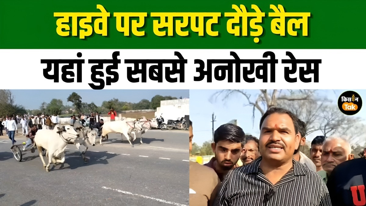 झांसी में पारंपरिक बैलगाड़ी दौड़ का आयोजन, किसानों का उत्साह चरम पर