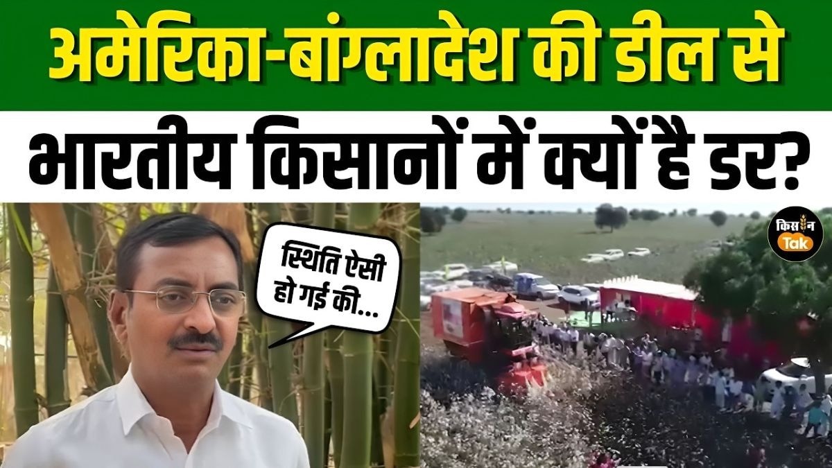 कपास किसानों को क्यों सता रहा डर