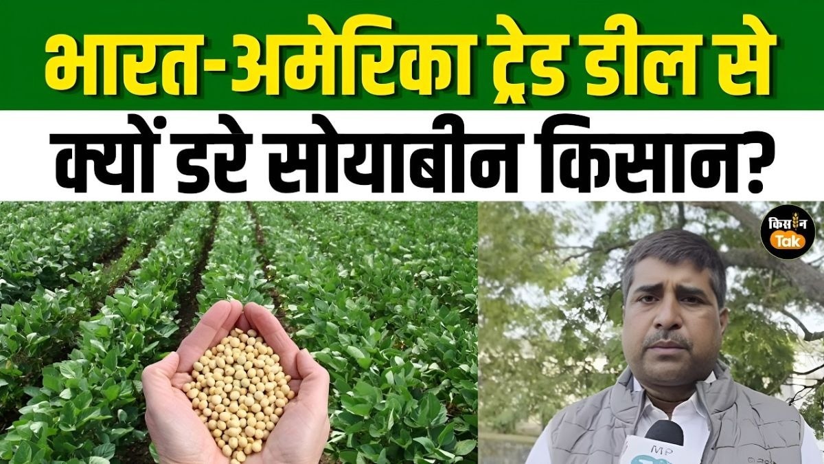 सोयाबीन उगाने वालों को सता रहा India US Trade Deal का डर, जानिए किसानों ने क्या बताया?