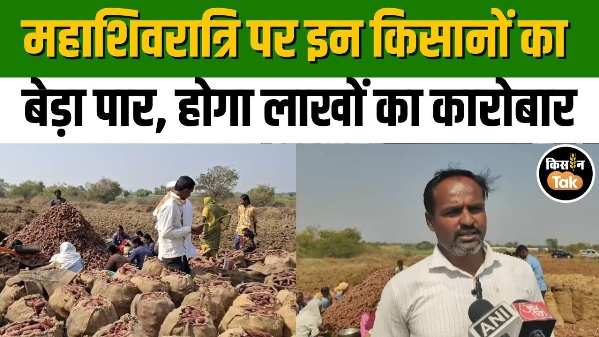 महाशिवरात्रि पर किसानों का बेड़ा पार, इस चीज का होगा लाखों का कारोबार, ये गांव बना मिसाल