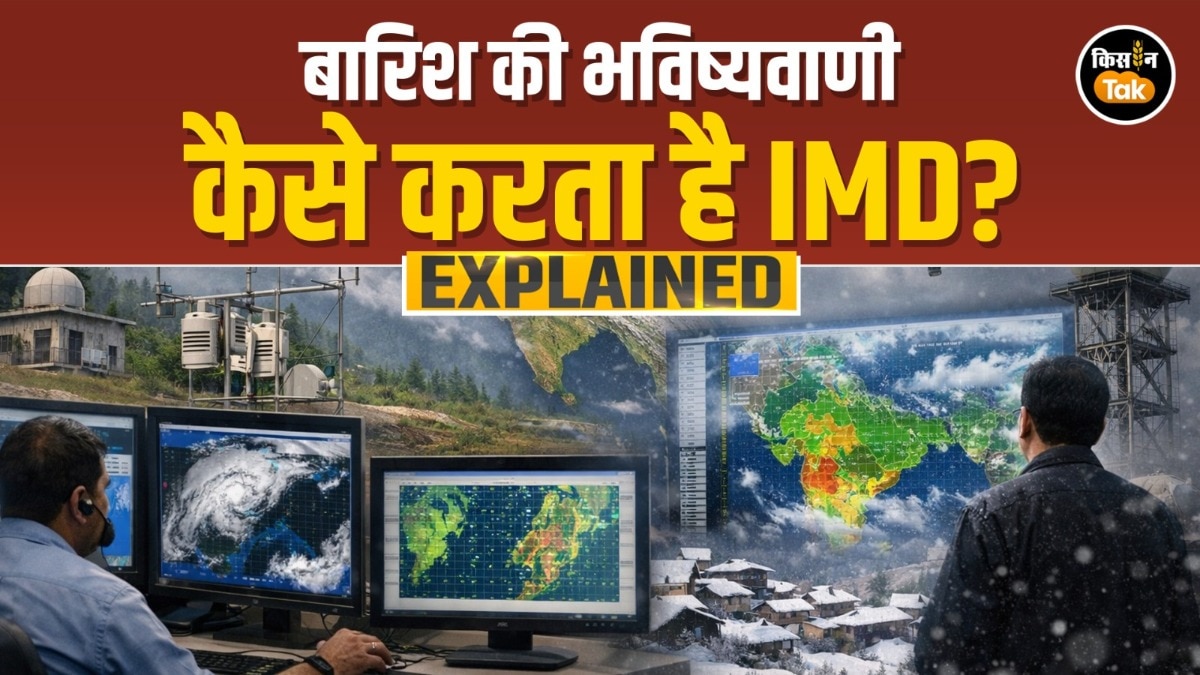 IMD explainer