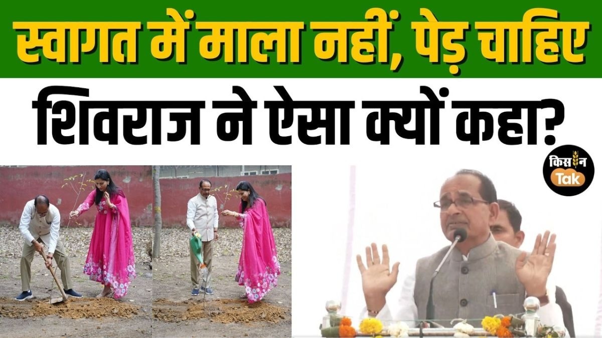 शिवराज सिंह ने क्यों कहा, 'मेरा स्वागत करने आओ तो पेड़ लगाकर फोटो ले आओ' सुनिए पूरी बात
