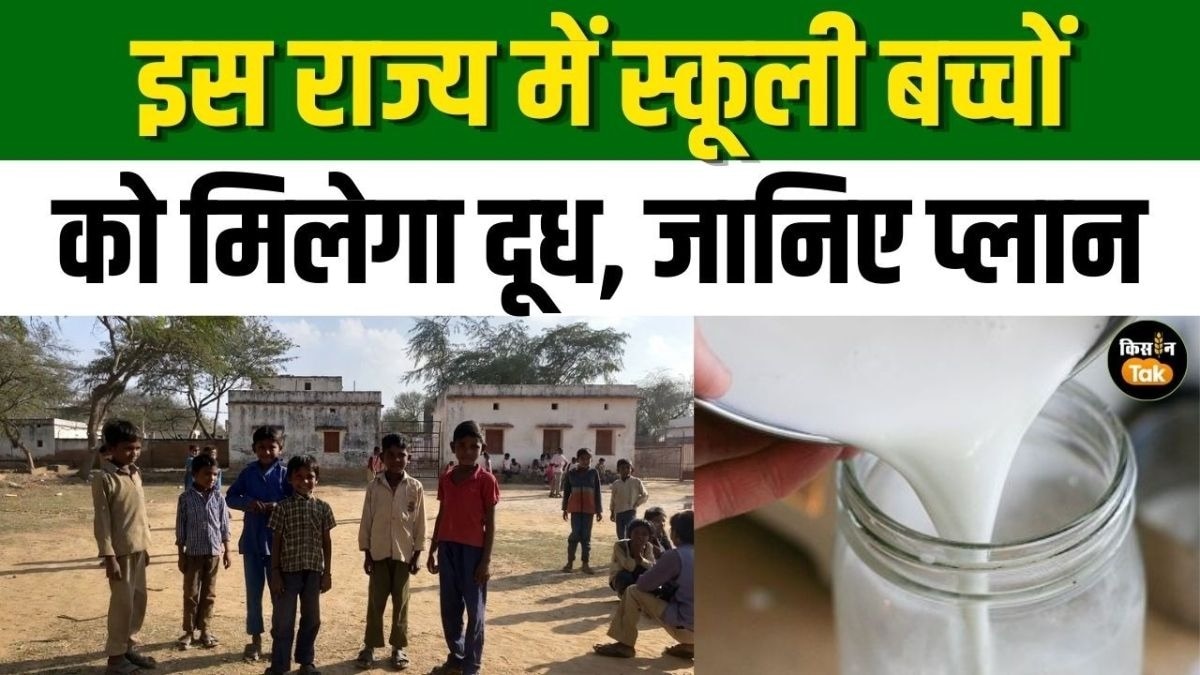 सीएम मोहन यादव