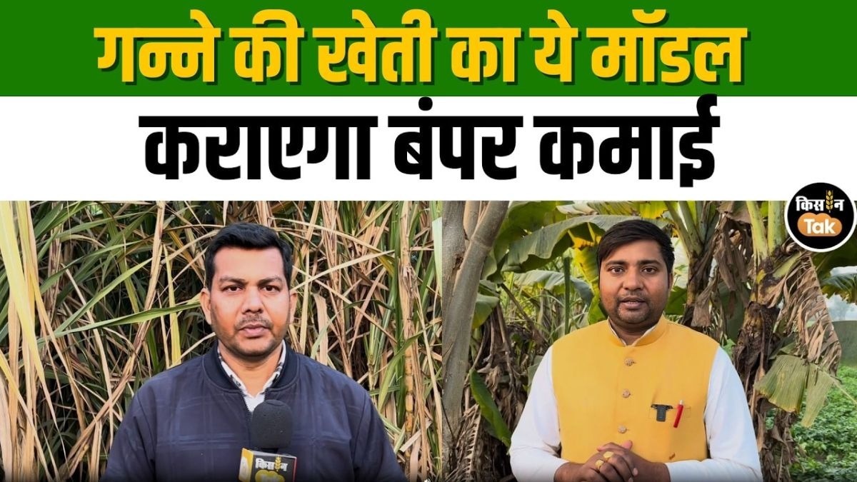 किसान ने प्राकृतिक खेती से गन्ने को बनाया मुनाफे का सौदा, देखें वीडियो